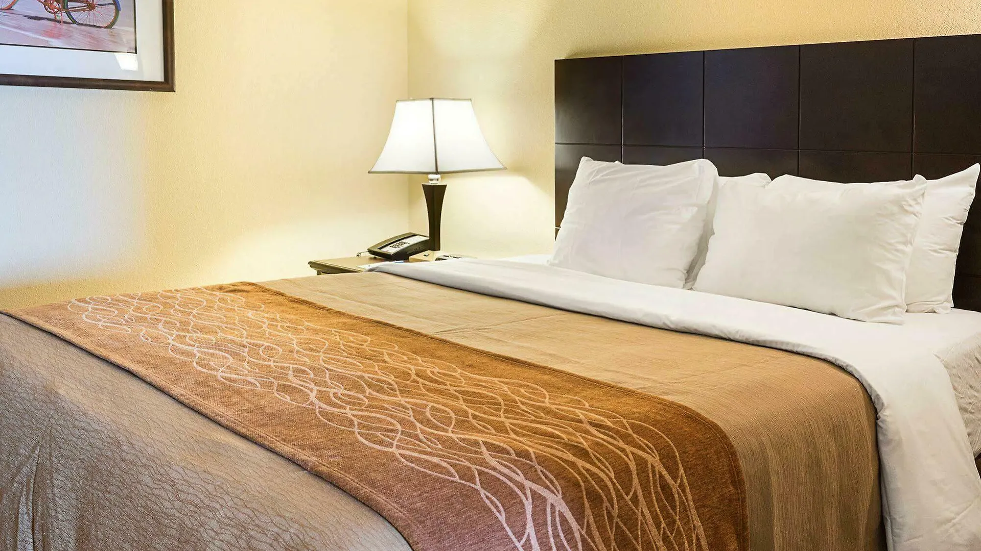 Coastal Hotel & Suites Virginia Beach - Oceanfront